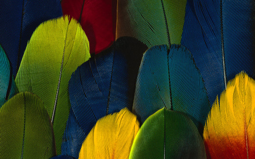 474328 (a): :1920x1200